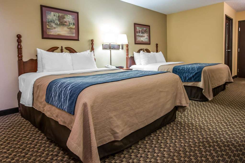 Quality Inn & Suites Mendota Near I-39 Habitación foto