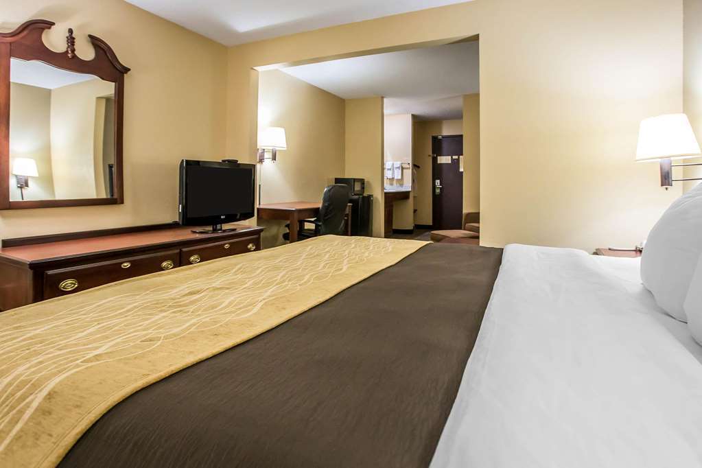 Quality Inn & Suites Mendota Near I-39 Habitación foto